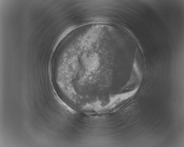 X0000076311243200610201604