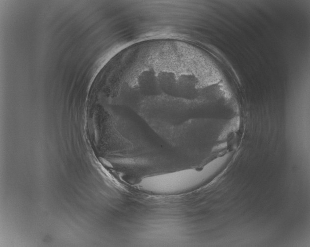 X0000076311244200610201604