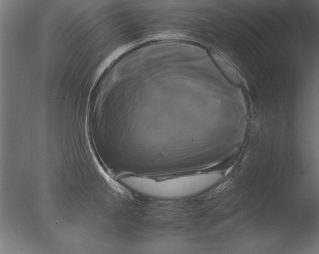 X0000076311245200610201604