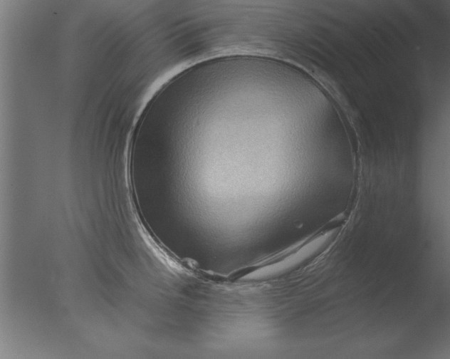 X0000076311246200610201604