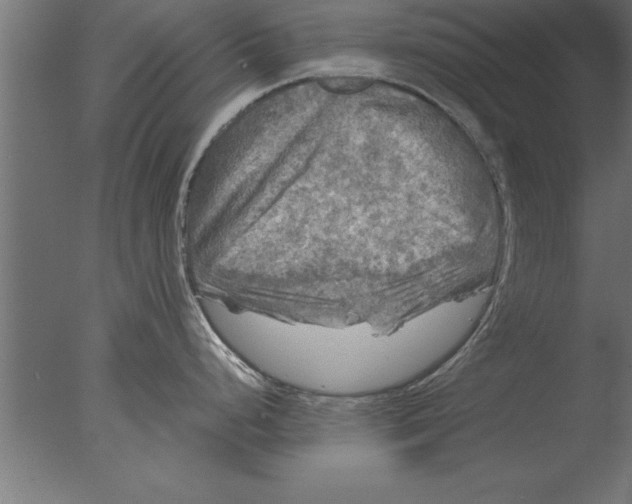 X0000076311248200610201604