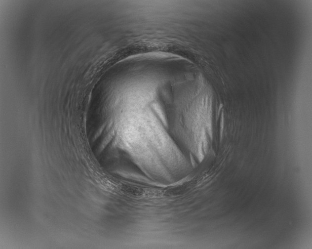 X0000076311249200610201603