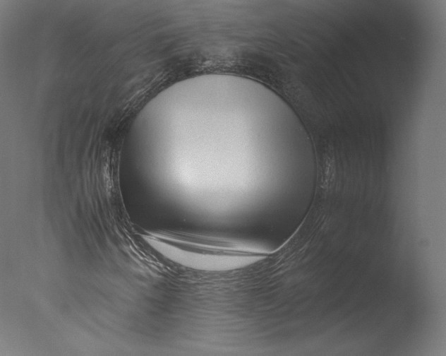 X0000076311250200610201603