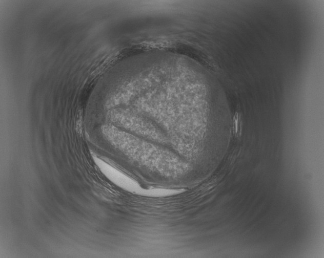 X0000076311251200610201603