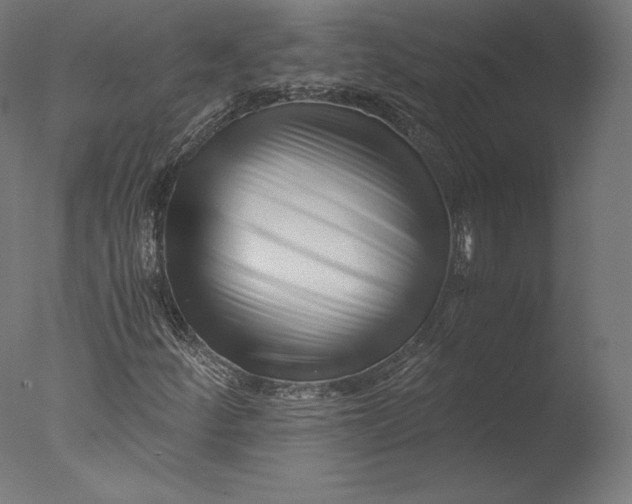 X0000076311252200610201603