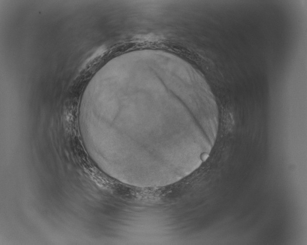 X0000076311254200610201603