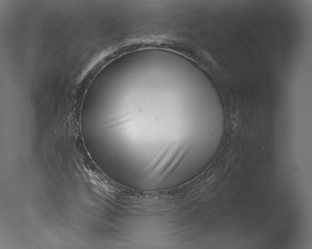 X0000076311256200610201603