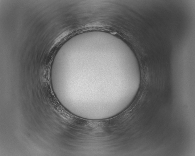 X0000076311258200610201603