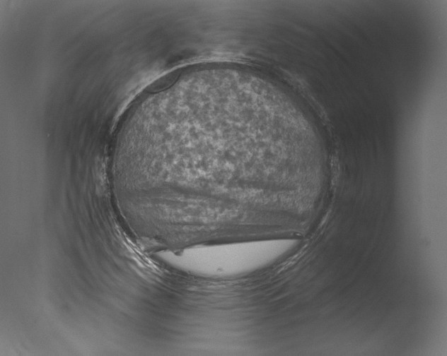 X0000076311260200610201603