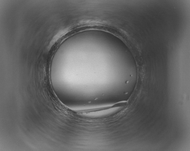 X0000076311261200610201603