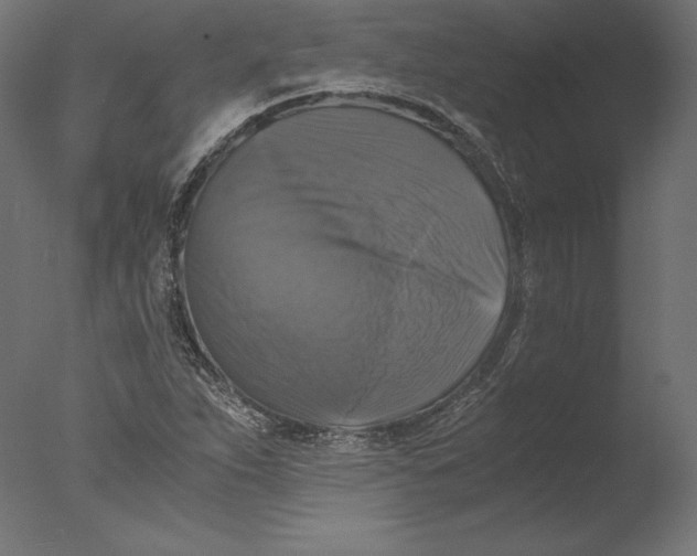 X0000076311263200610201603