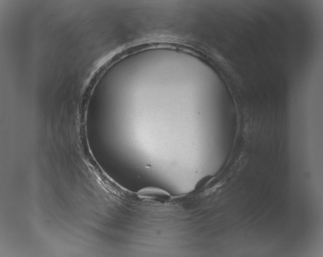 X0000076311264200610201603