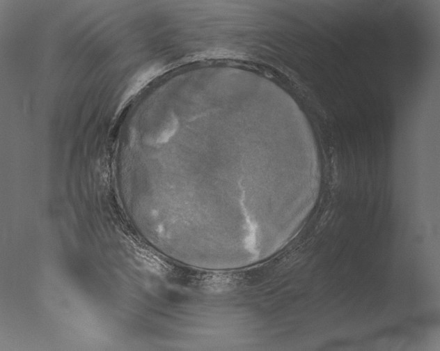 X0000076311266200610201603