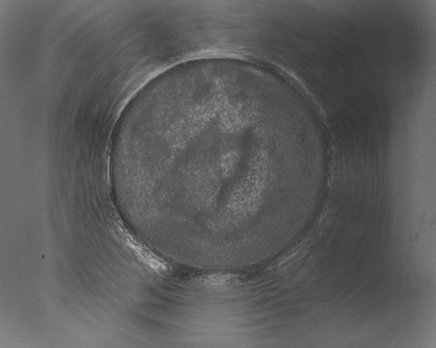 X0000076311268200610201603