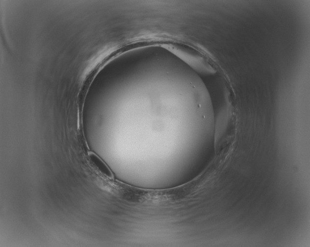 X0000076311269200610201603