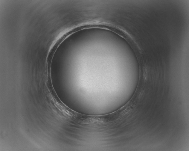 X0000076311270200610201603