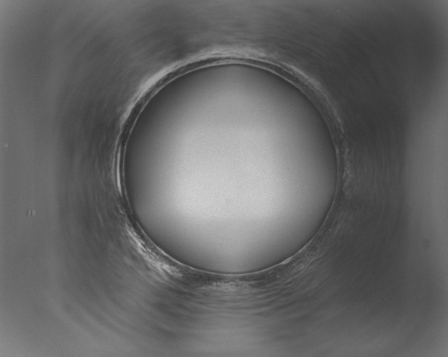 X0000076311272200610201603