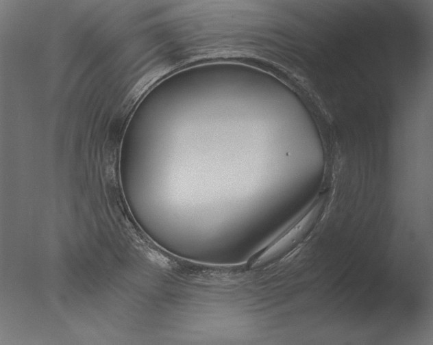 X0000076311273200610201603