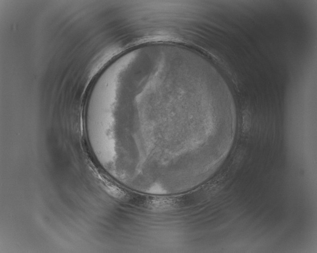 X0000076311274200610201603