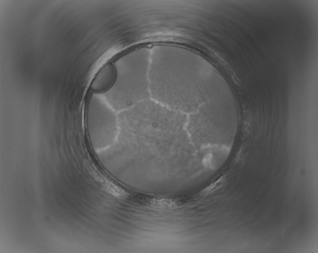 X0000076311275200610201603