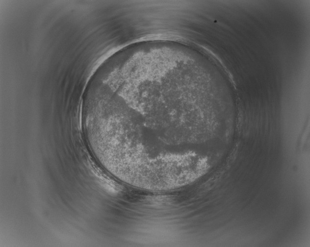 X0000076311276200610201603