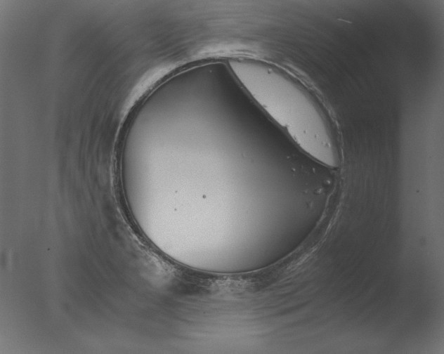 X0000076311277200610201603