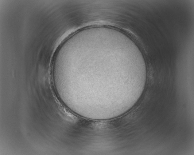 X0000076311278200610201603