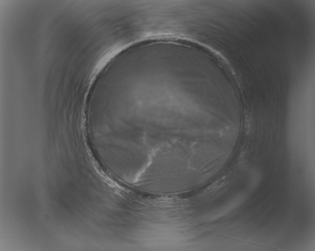 X0000076311279200610201603