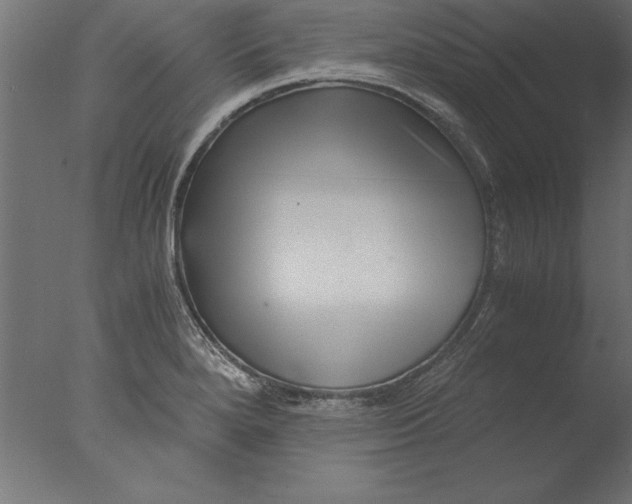 X0000076311280200610201603