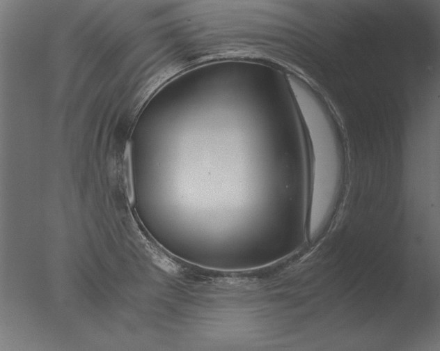 X0000076311281200610201603