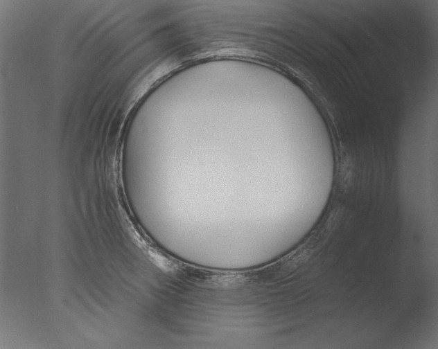 X0000076311282200610201603