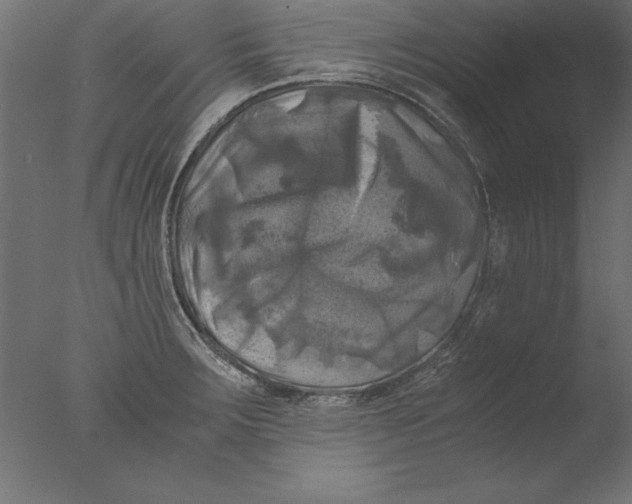 X0000076311283200610201603