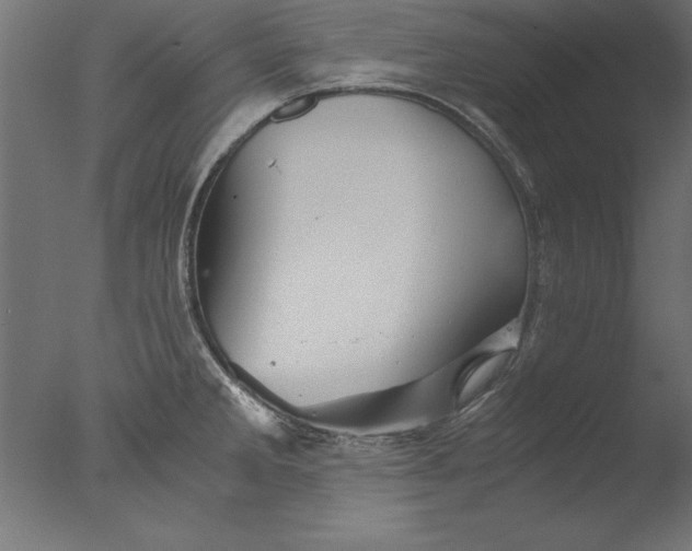 X0000076311285200610201603