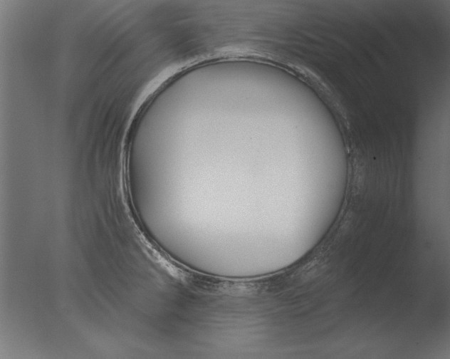 X0000076311286200610201603