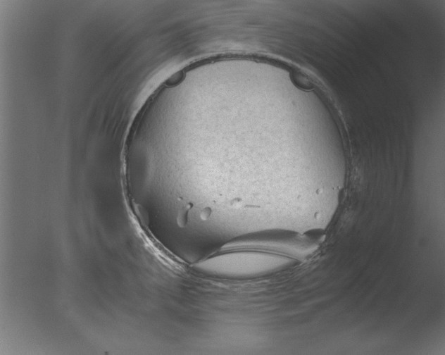 X0000076311287200610201603