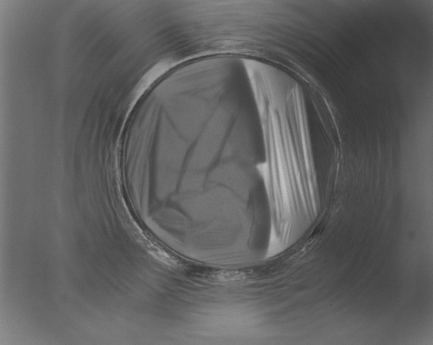 X0000076311291200610201603