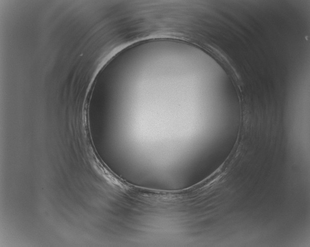 X0000076311292200610201603