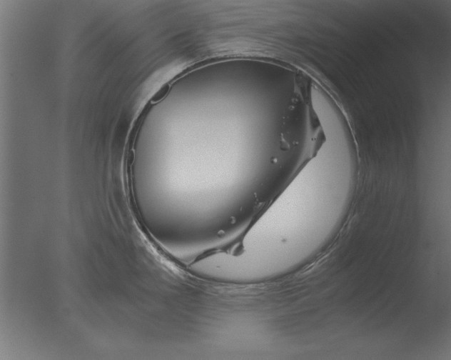 X0000076311293200610201603