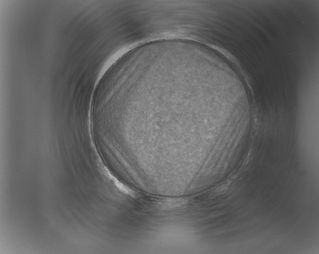 X0000076311294200610201603