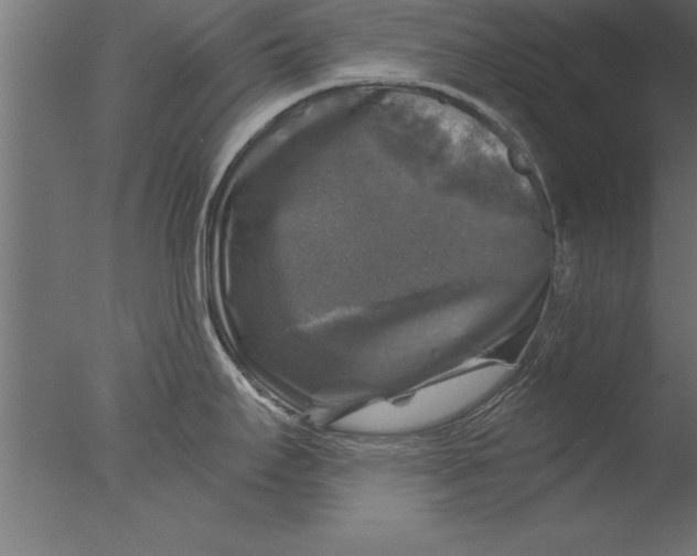 X0000076311295200610201603