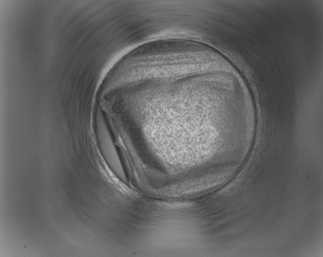 X0000076311296200610201603