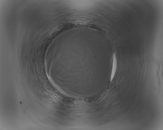 X0000076311297200610201602