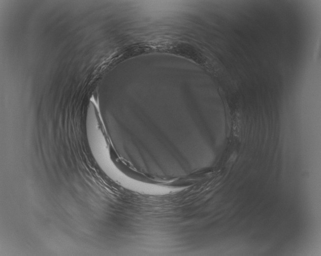 X0000076311298200610201602