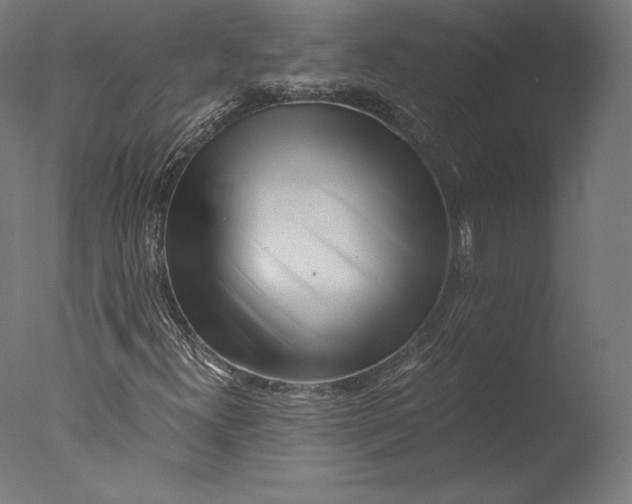 X0000076311300200610201602