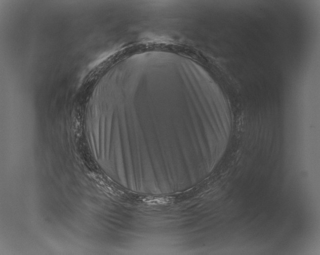 X0000076311303200610201602