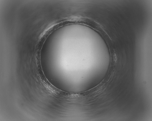 X0000076311304200610201602