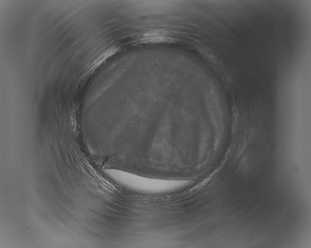 X0000076311305200610201602