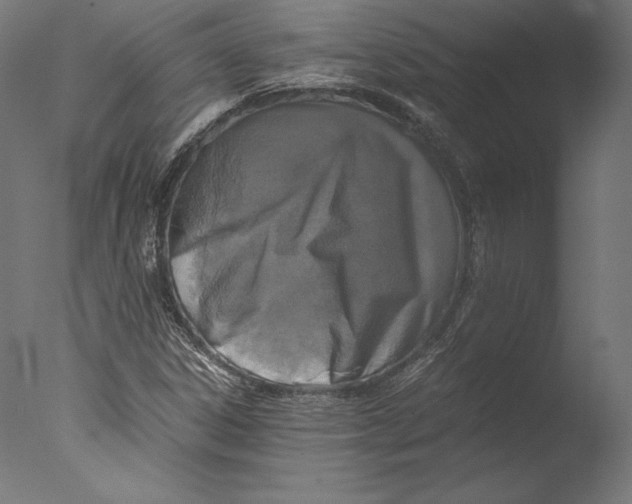 X0000076311306200610201602