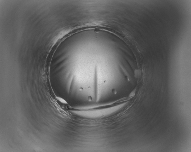 X0000076311308200610201602