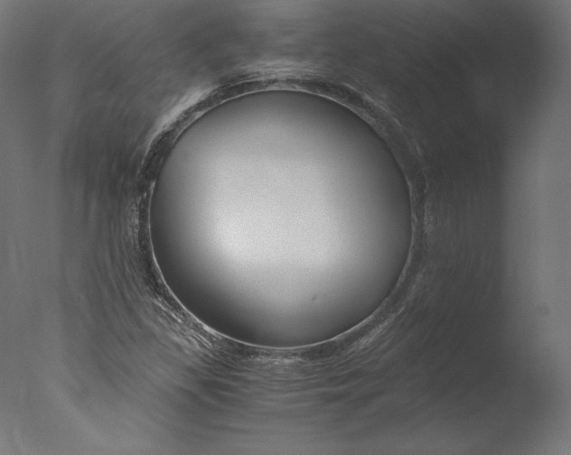 X0000076311309200610201602